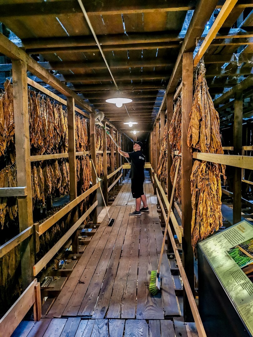 allesklar Gebaeudereinigung - Reinigungsservice - Dienstleistungen Lorsch