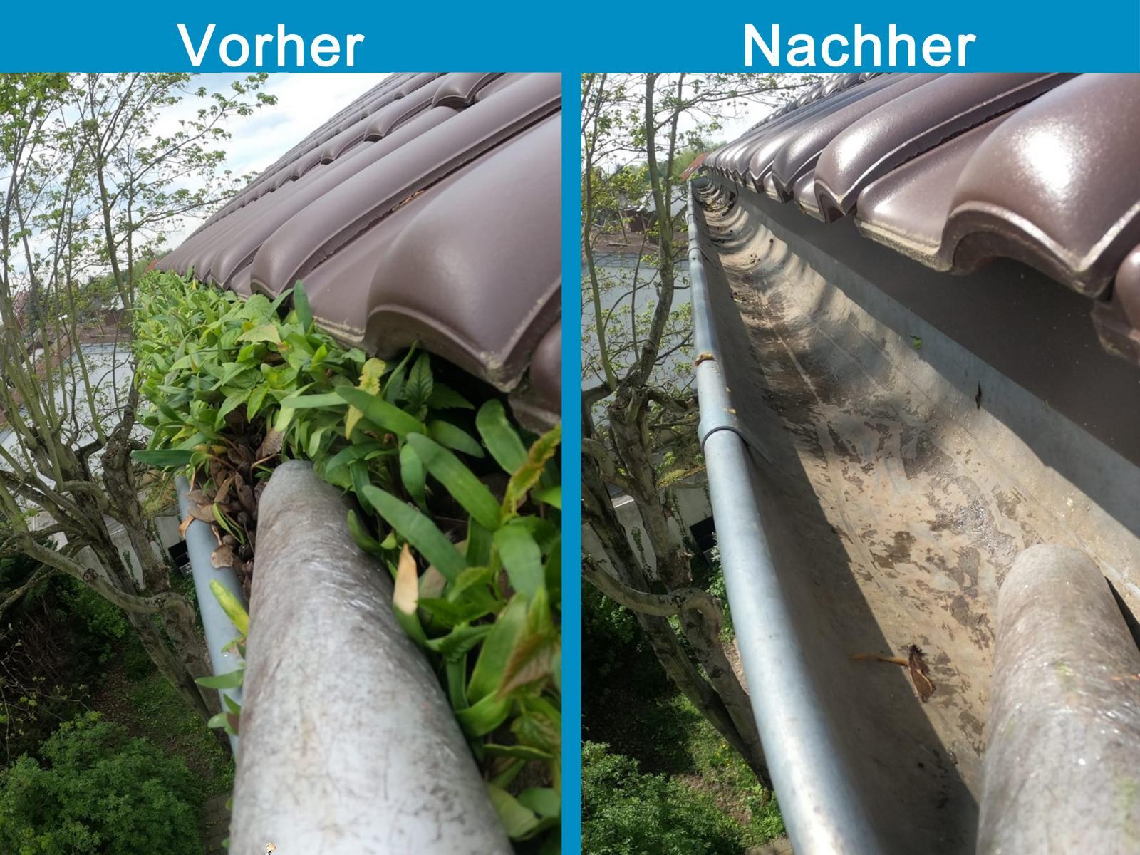 allesklar Gebaeudereinigung Dachrinnenreinigung Regenrinnenreinigung Frankenthal