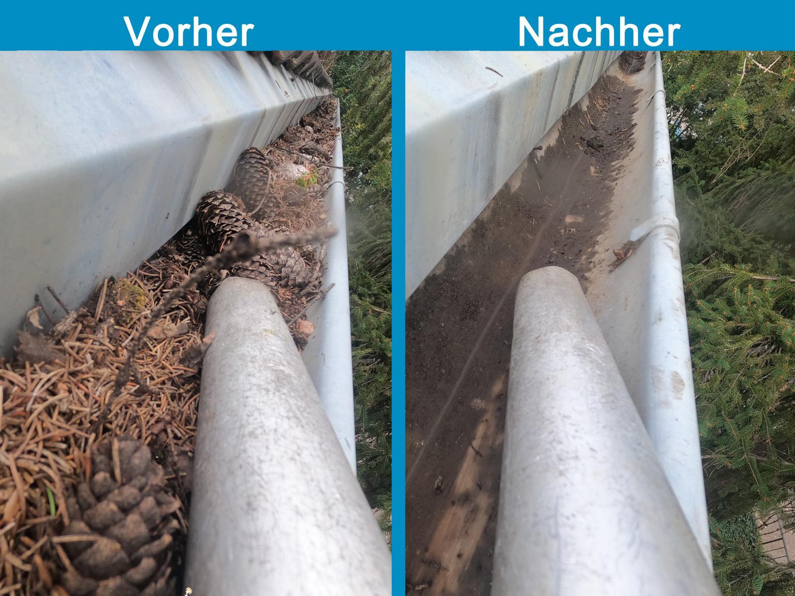 allesklar Gebaeudereinigung Dachrinnenreinigung Regenrinnenreinigung Ludwigshafen